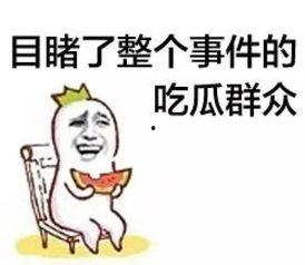 吃瓜群众小迪